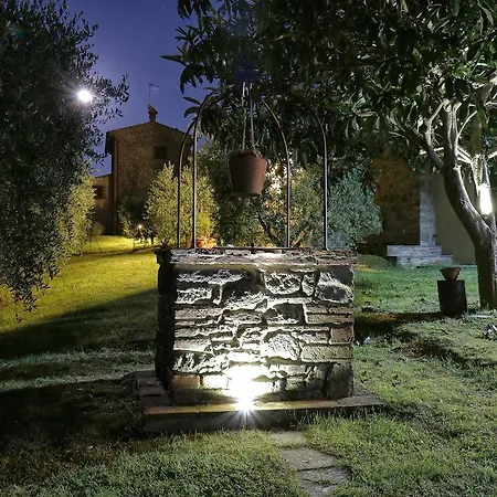 Selva Degli Ulivi Foiano Della Chiana