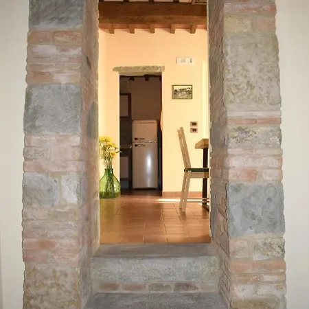 Selva Degli Ulivi