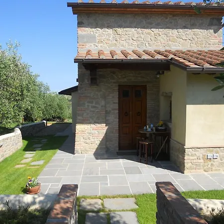 Selva Degli Ulivi *