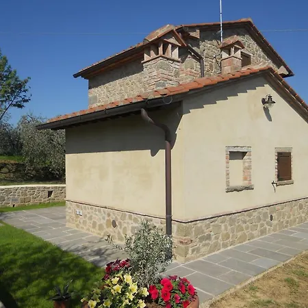 Selva Degli Ulivi *