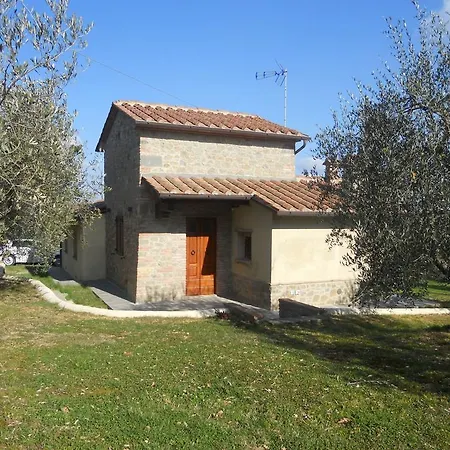 Selva Degli Ulivi Foiano Della Chiana