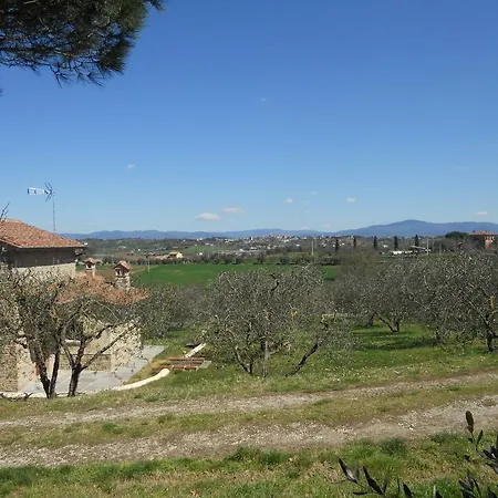 Selva Degli Ulivi Country house *