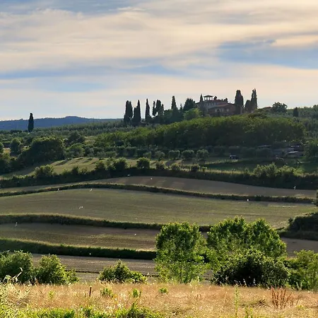 Selva Degli Ulivi