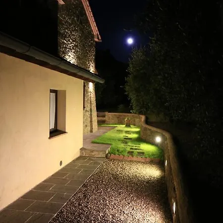 Selva Degli Ulivi *