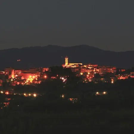 Selva Degli Ulivi Foiano Della Chiana