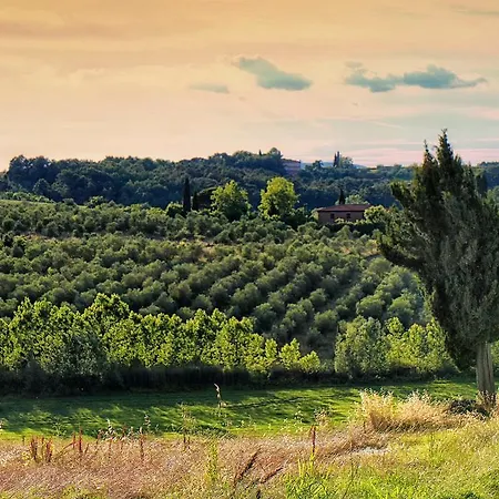 Selva Degli Ulivi Country house *