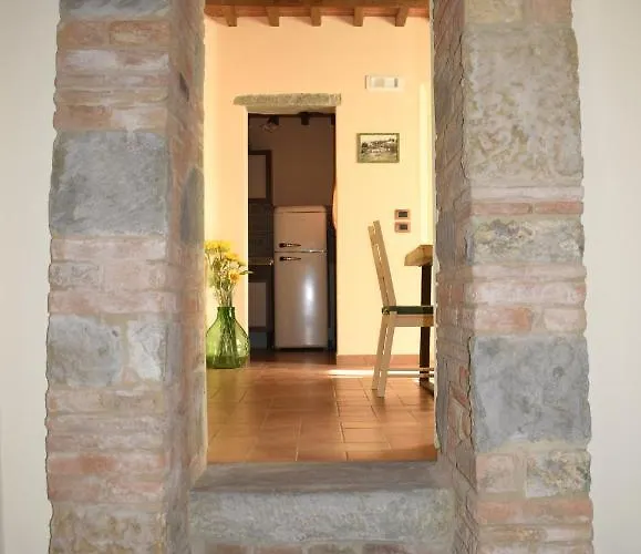 Selva Degli Ulivi