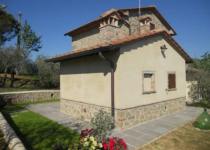 Selva Degli Ulivi *