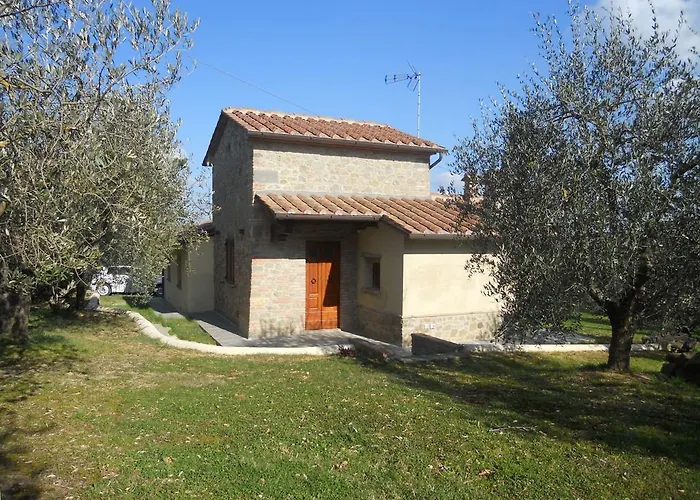 Selva Degli Ulivi Foiano Della Chiana