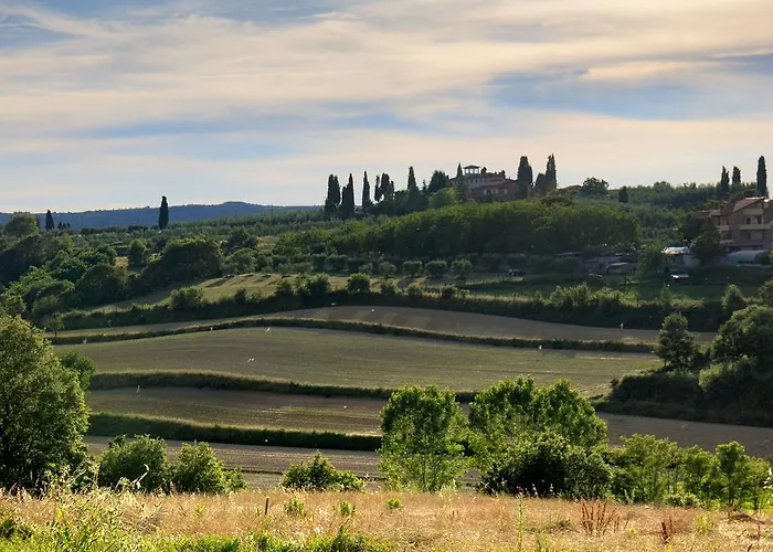 Selva Degli Ulivi