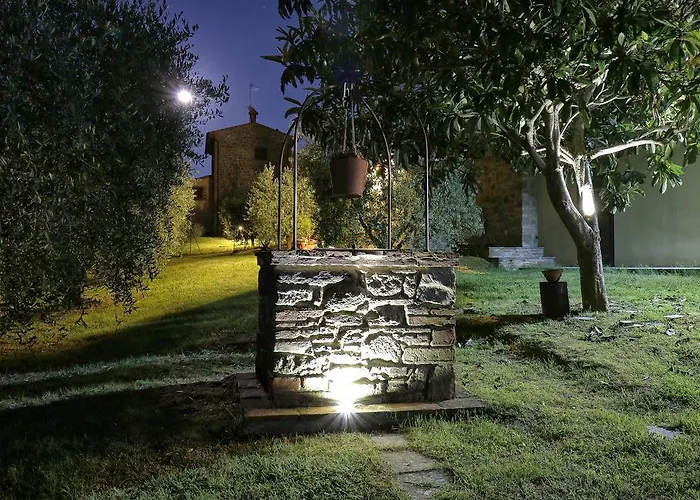 Selva Degli Ulivi Foiano Della Chiana