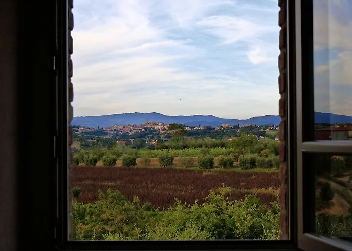Selva Degli Ulivi *