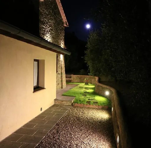 Selva Degli Ulivi *