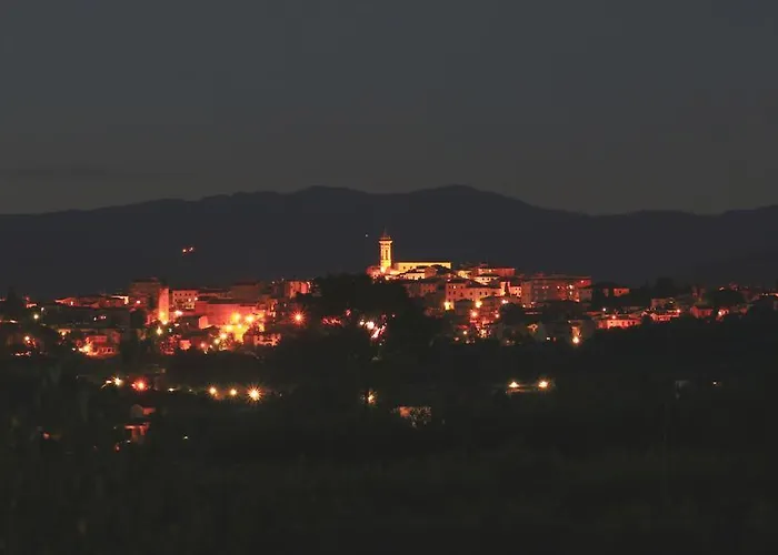 Selva Degli Ulivi Foiano Della Chiana