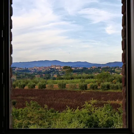 Selva Degli Ulivi *